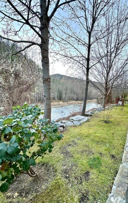 Acogedor Alojamiento En Martinet, Cerdanya, Puigcerda Екстериор снимка