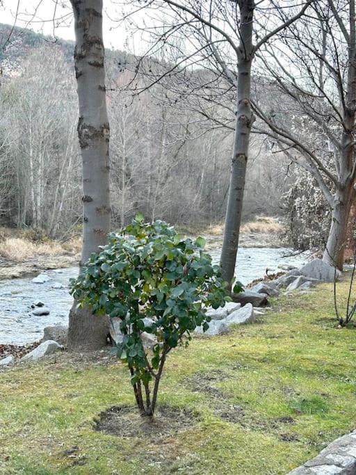 Acogedor Alojamiento En Martinet, Cerdanya, Puigcerda Екстериор снимка